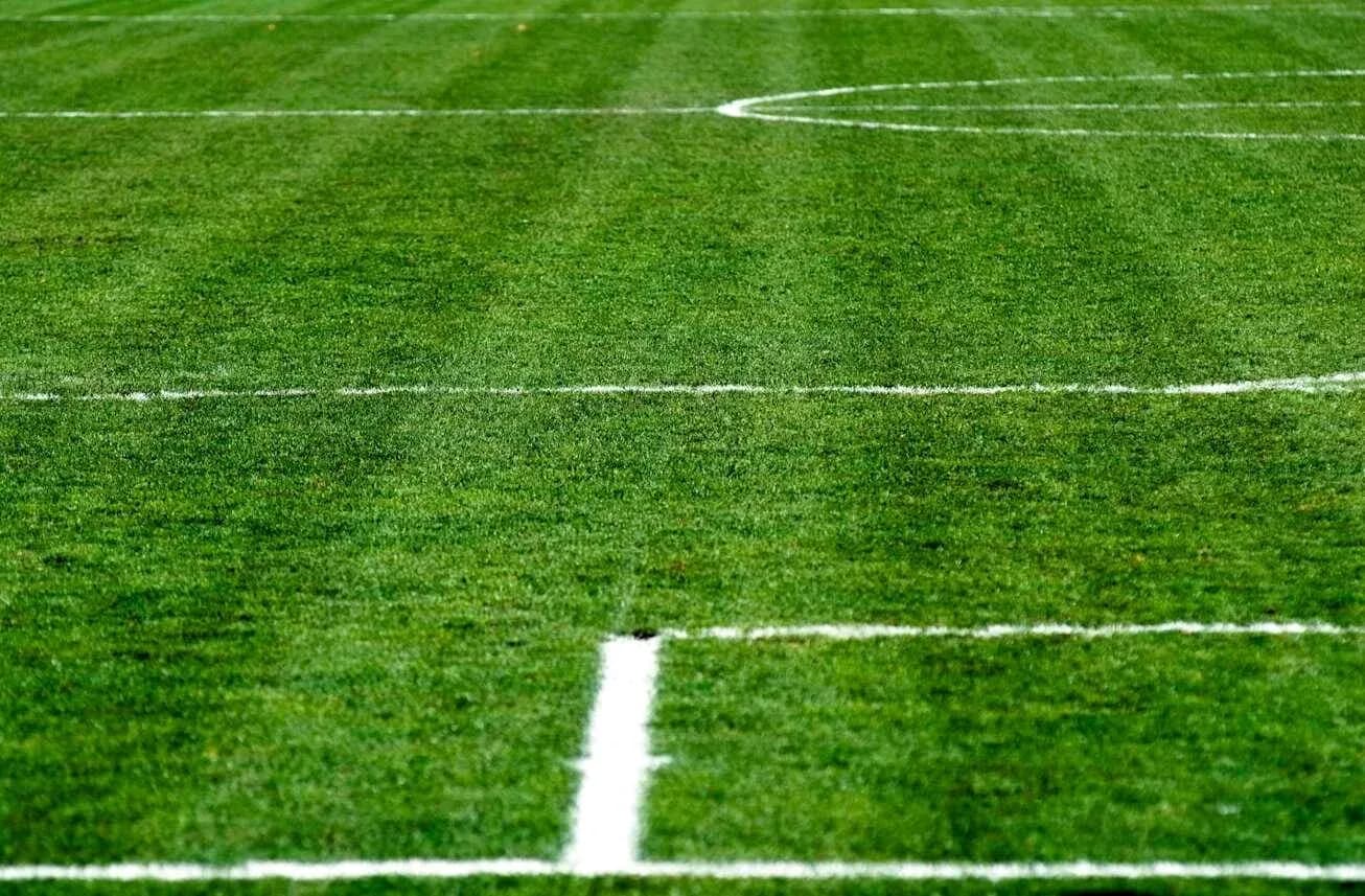 Close-up of a soccer field with white lines