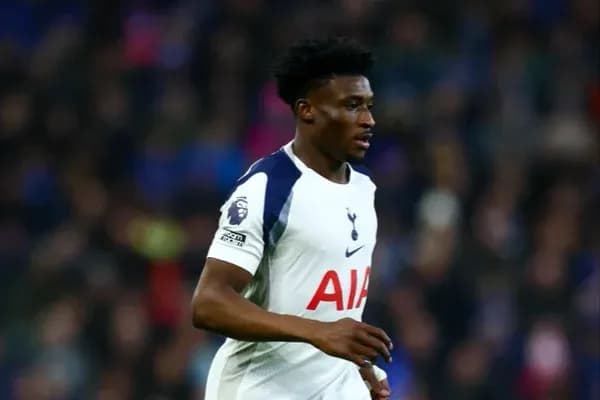 Player in Tottenham Hotspur kit during match