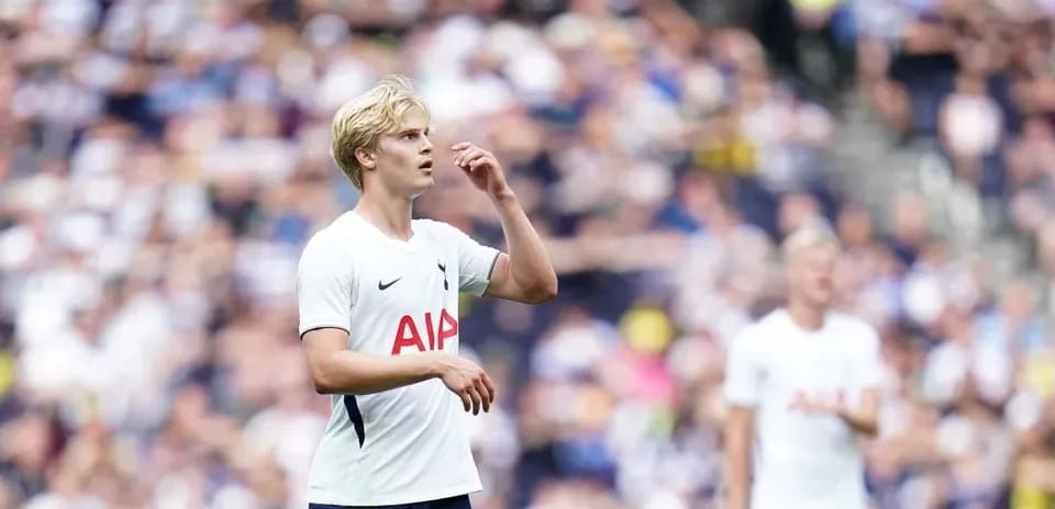 Tottenham player looking concerned during match