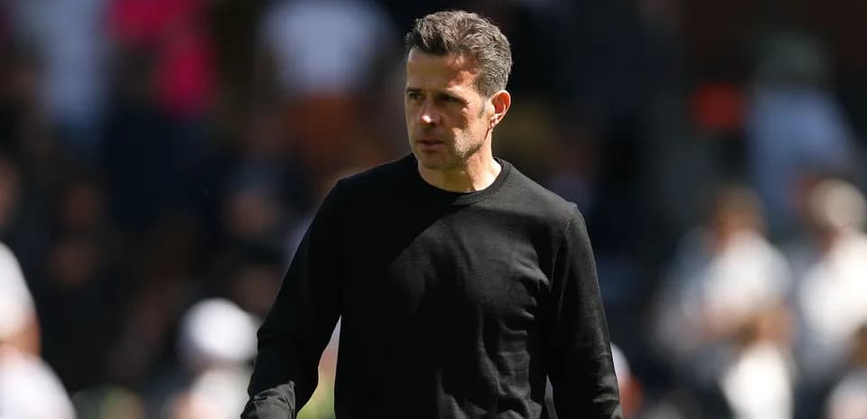 Coach walking on the pitch during a match