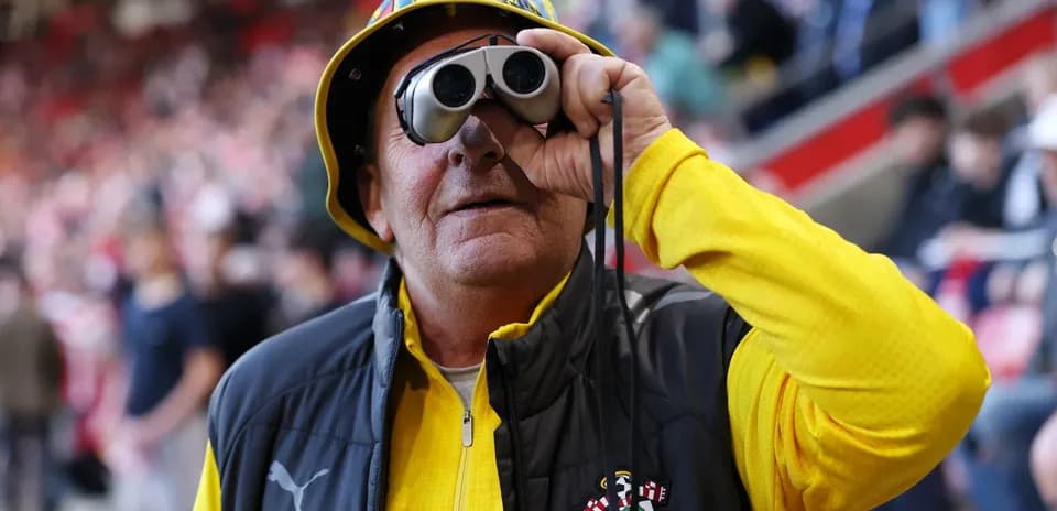 Fan wearing binoculars and team colors at stadium