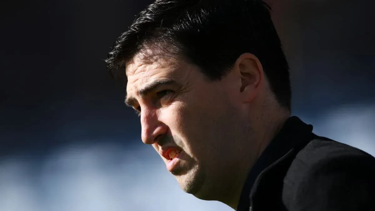 Man in profile during a sports event