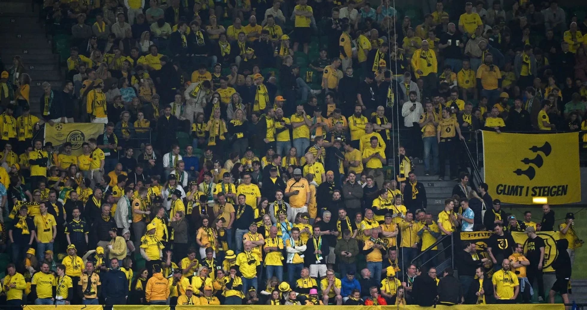 Bodo/Glimt fans cheering in stadium