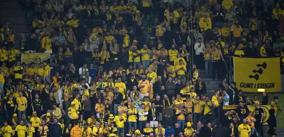 Bodo/Glimt fans cheering in stadium