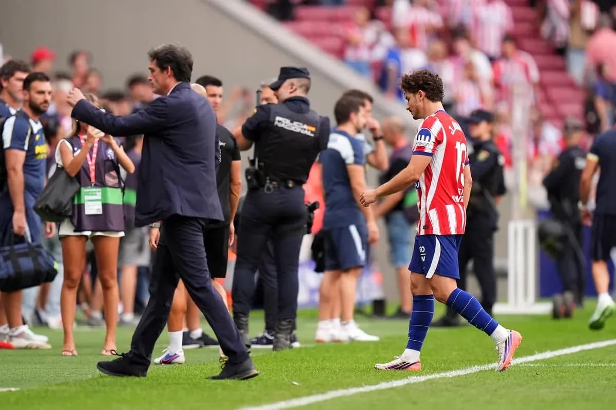 Player walking past coach and spectators on sideline