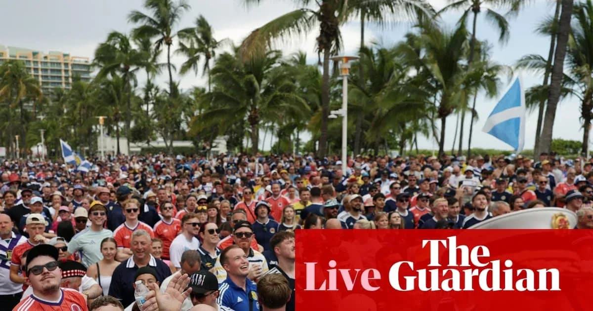 Large crowd of fans at outdoor event with palm trees Large crowd of fans at outdoor event with palm trees