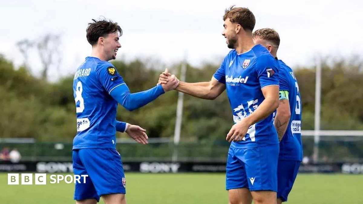 Players celebrating with handshake on field Players celebrating with handshake on field