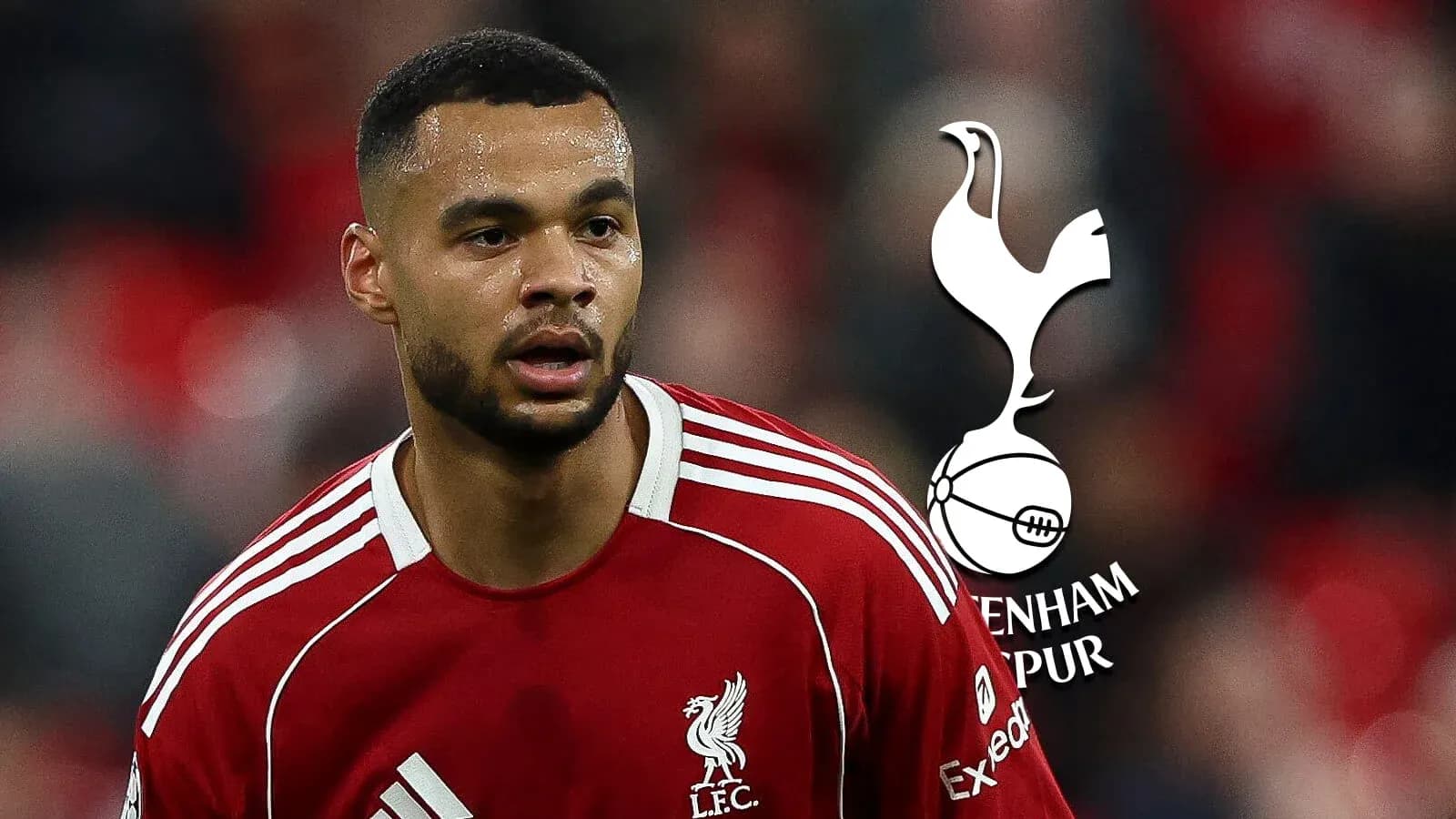 Player in Liverpool kit during a match Player in Liverpool kit during a match