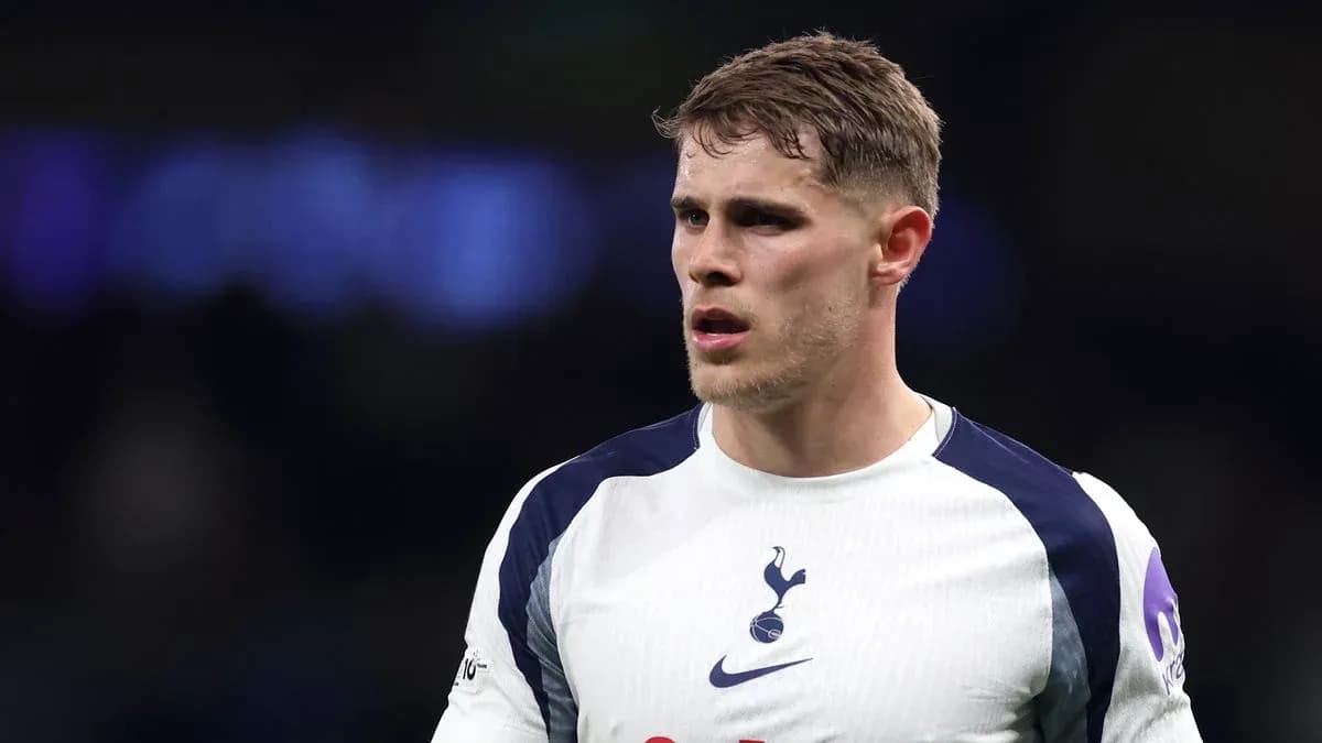 Player in Tottenham kit during a match Player in Tottenham kit during a match