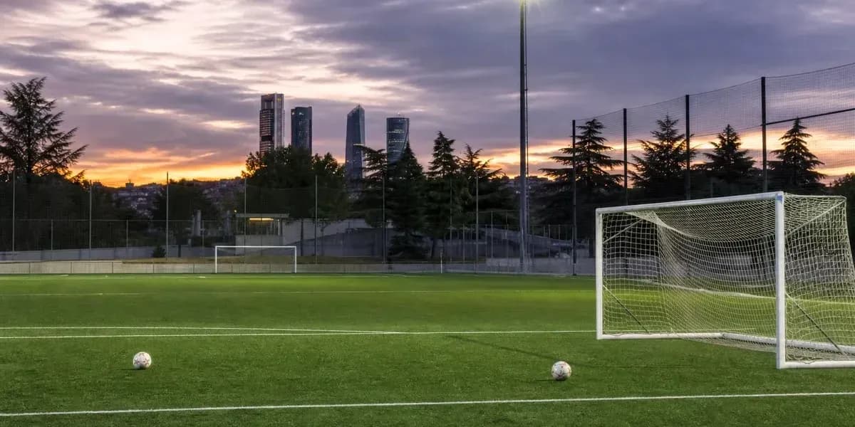 Football pitch with goal and city skyline at sunset Football pitch with goal and city skyline at sunset