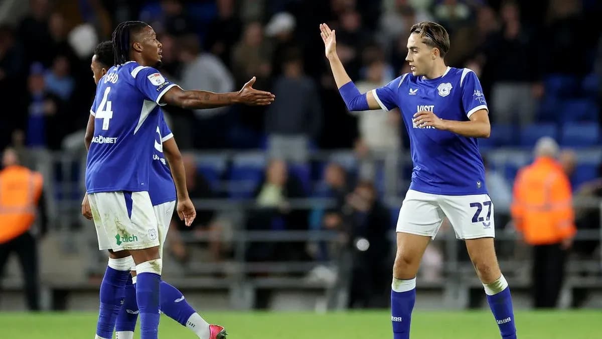 Cardiff City players celebrating on the pitch Cardiff City players celebrating on the pitch