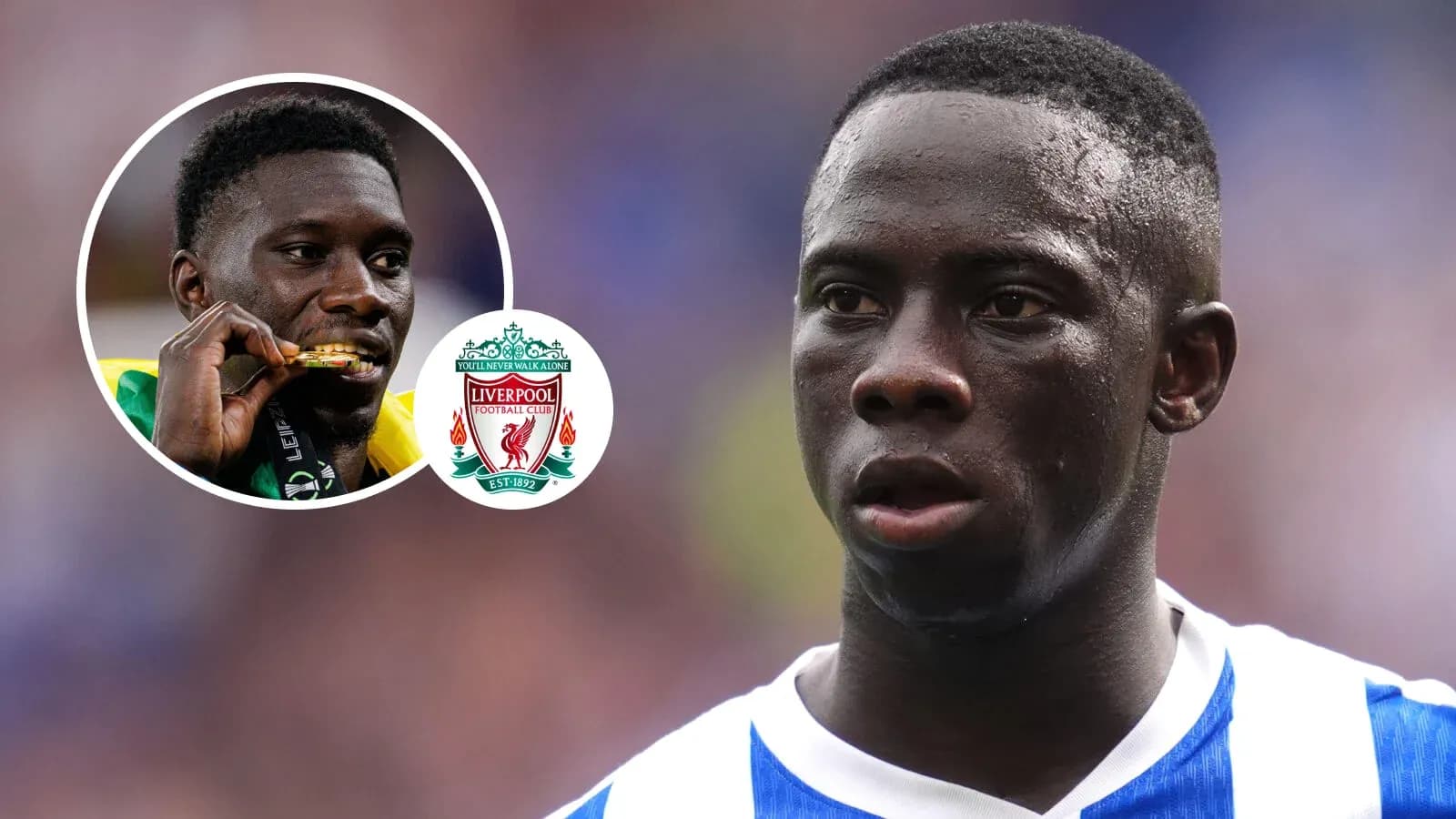 Player in blue jersey with Liverpool logo displayed Player in blue jersey with Liverpool logo displayed