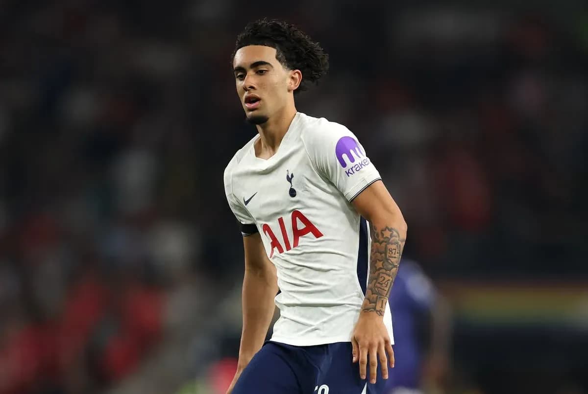 Player wearing Tottenham kit during a match Player wearing Tottenham kit during a match