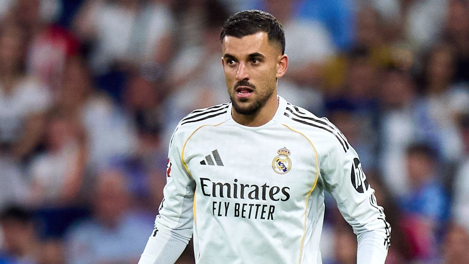 Napoli Intensify Efforts to Sign Former Real Madrid Midfielder Dani Ceballos Napoli Intensify Efforts to Sign Former Real Madrid Midfielder Dani Ceballos