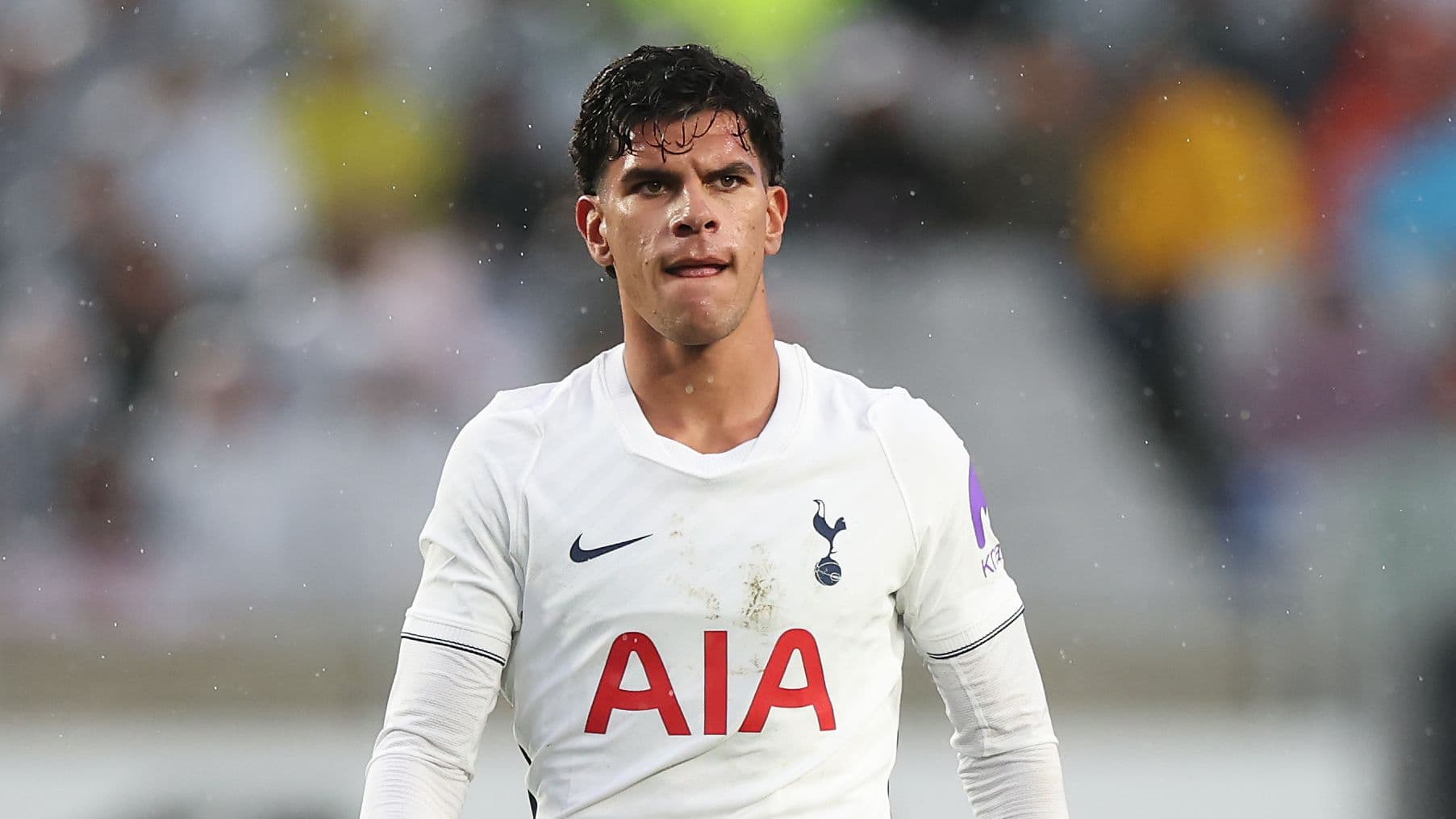 Why £85m Mateus Fernandes Missed Tottenham's Match Against Sydney FC Amid Injury Speculation Why £85m Mateus Fernandes Missed Tottenham's Match Against Sydney FC Amid Injury Speculation