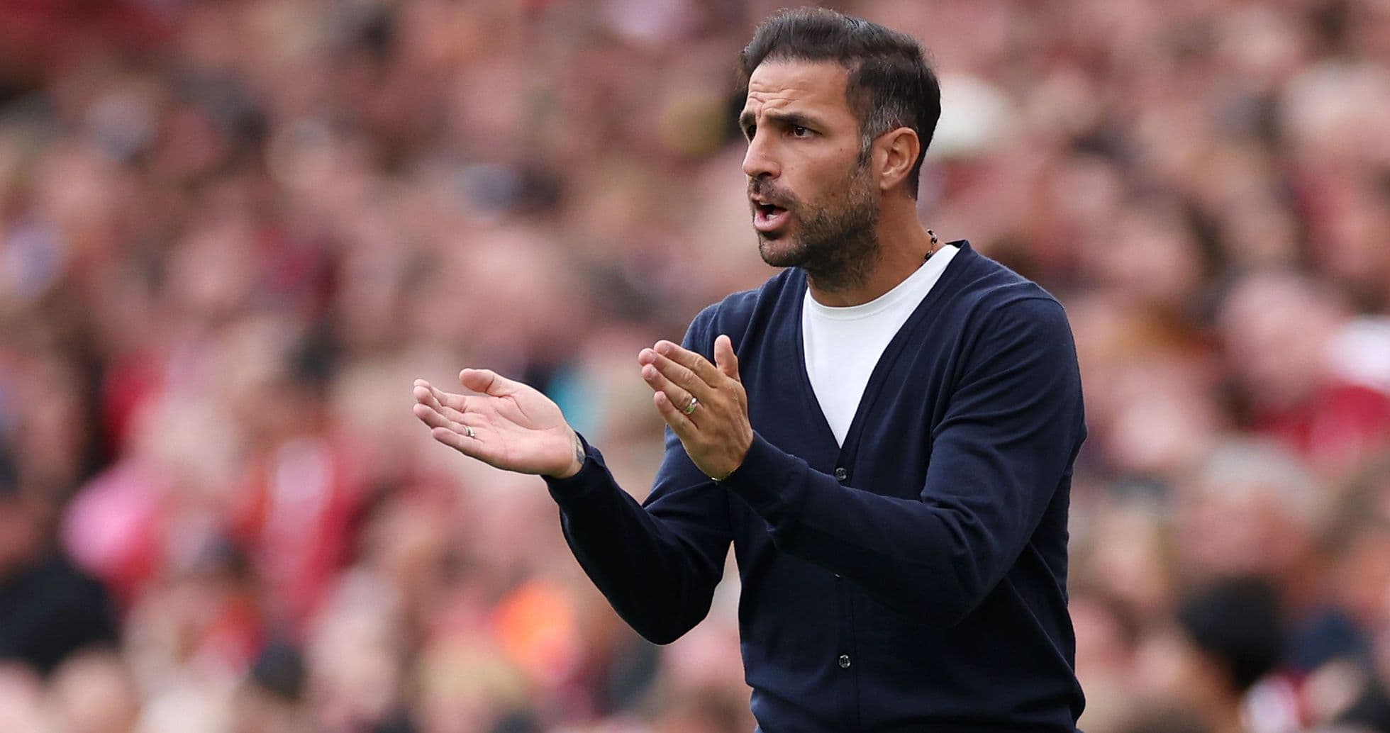 Cesc Fabregas Demands New Striker for Como After Shock Win Over Napoli Cesc Fabregas Demands New Striker for Como After Shock Win Over Napoli